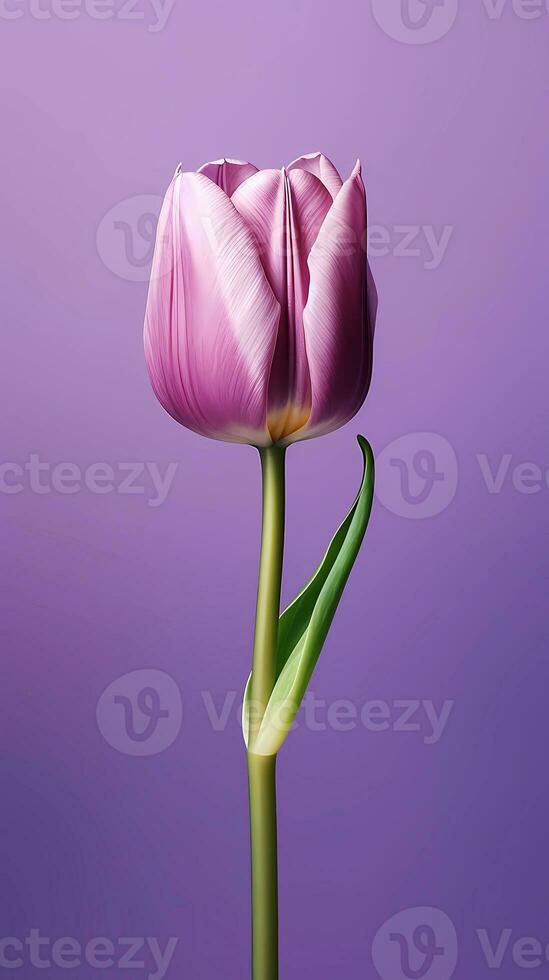 viola tulipano Tulipa fiore sfondo sfondo. ai generato foto