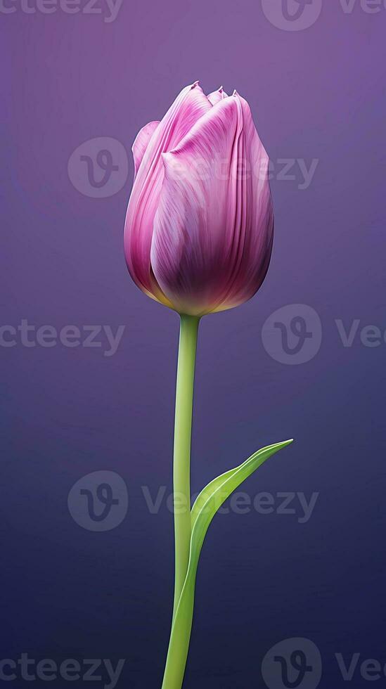 viola tulipano Tulipa fiore sfondo sfondo. ai generato foto