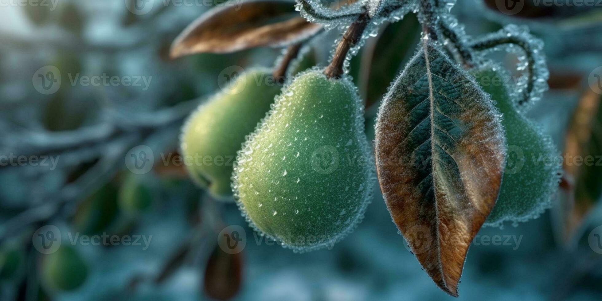 ghiaccio tempesta alberi e Pera frutta congelare nel inverno, ai generato foto