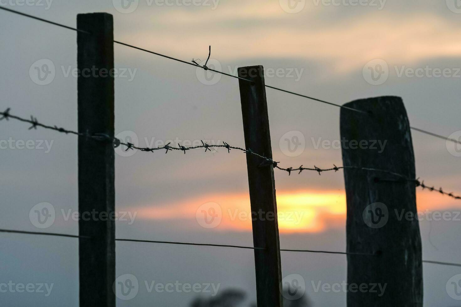 filo recinto a tramonto nel il argentino campagna. foto