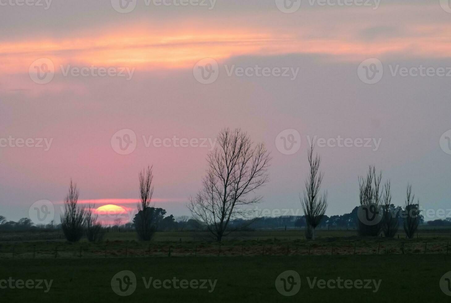 mulino a vento nel pampa tramonto paesaggio, la pampa, argentina foto