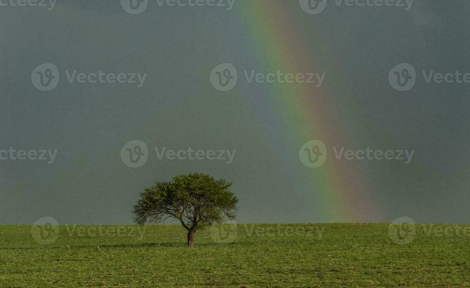 pampa pianura arcobaleno paesaggio, argentina foto