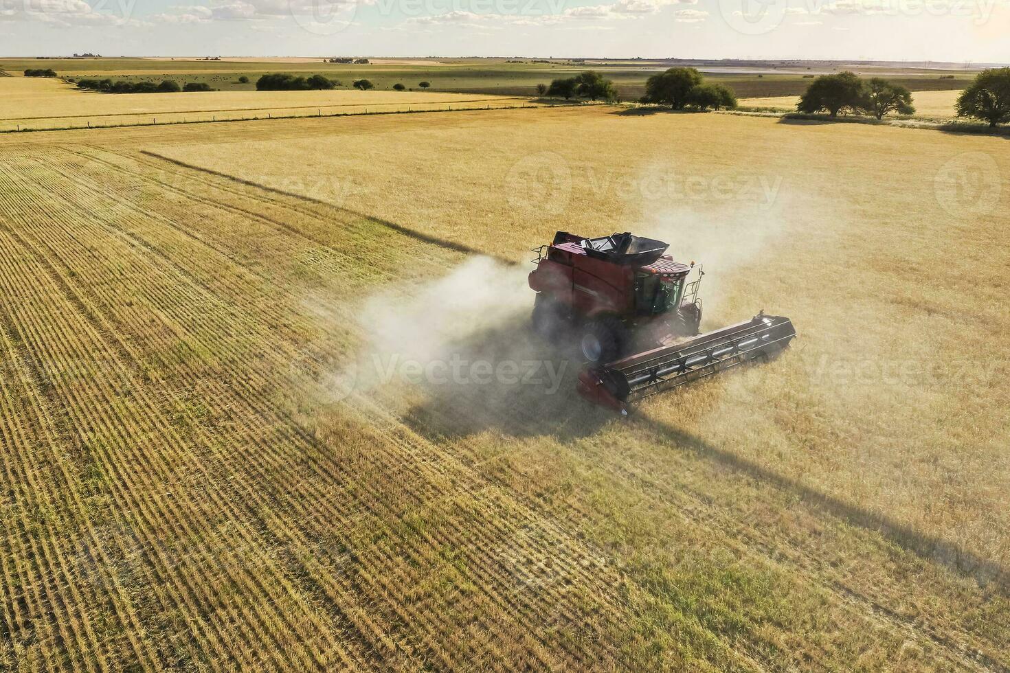 Grano raccogliere nel il argentino campagna, la pampa Provincia, patagonia, argentina. foto