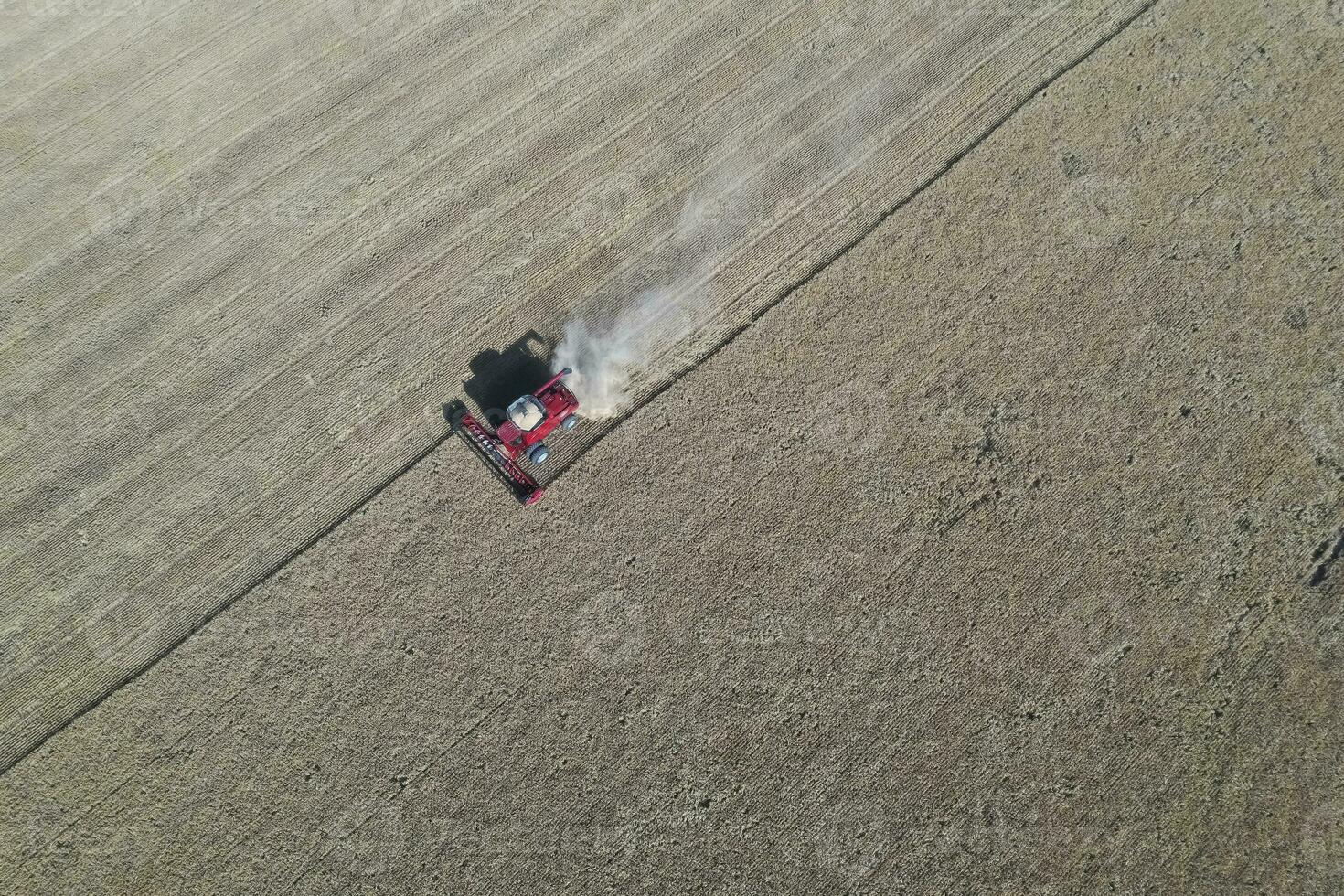 Grano raccogliere nel il argentino campagna, la pampa Provincia, patagonia, argentina. foto