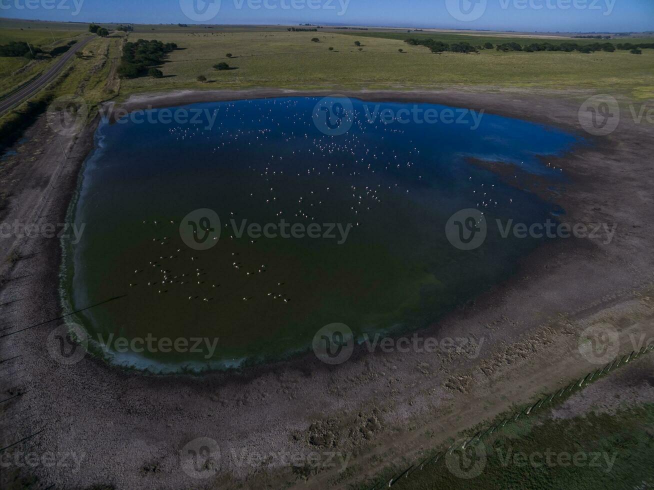 pampa laguna, aereo Visualizza foto