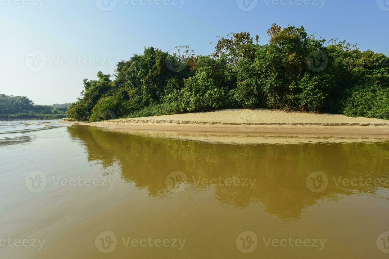 pantanal foresta ecosistema, mamato grosso, brasile foto