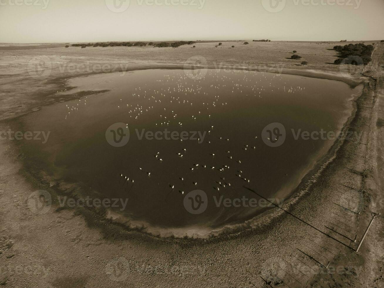 pampa laguna, aereo Visualizza foto