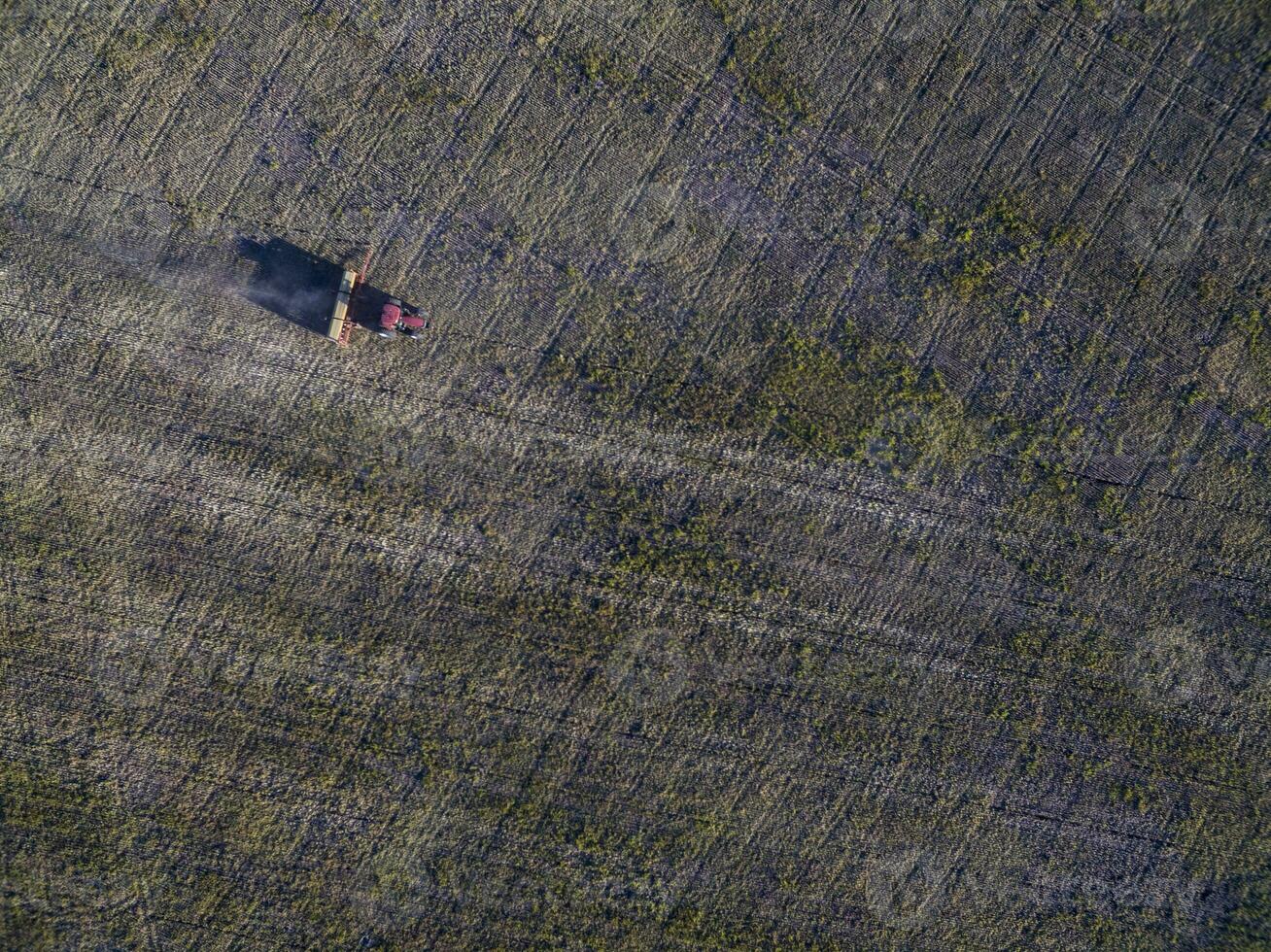 diretto semina, agricolo macchinari, nel la pampa, patagonia, argentina foto