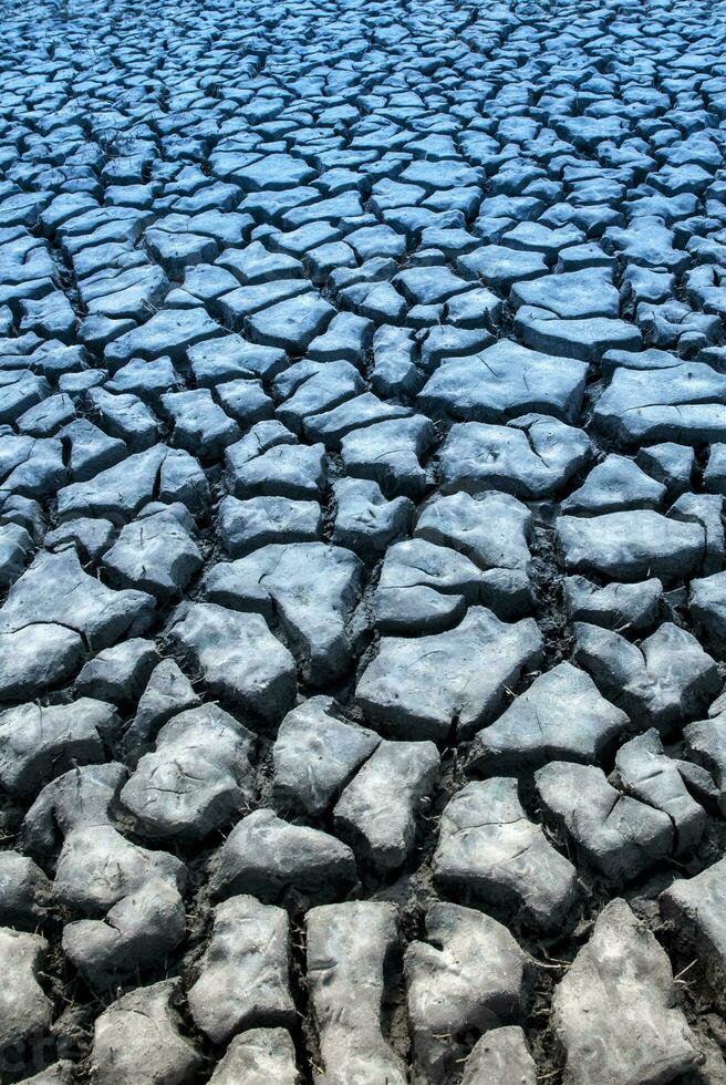 rotto suolo nel pampa ambiente , patagonia, argentina. foto