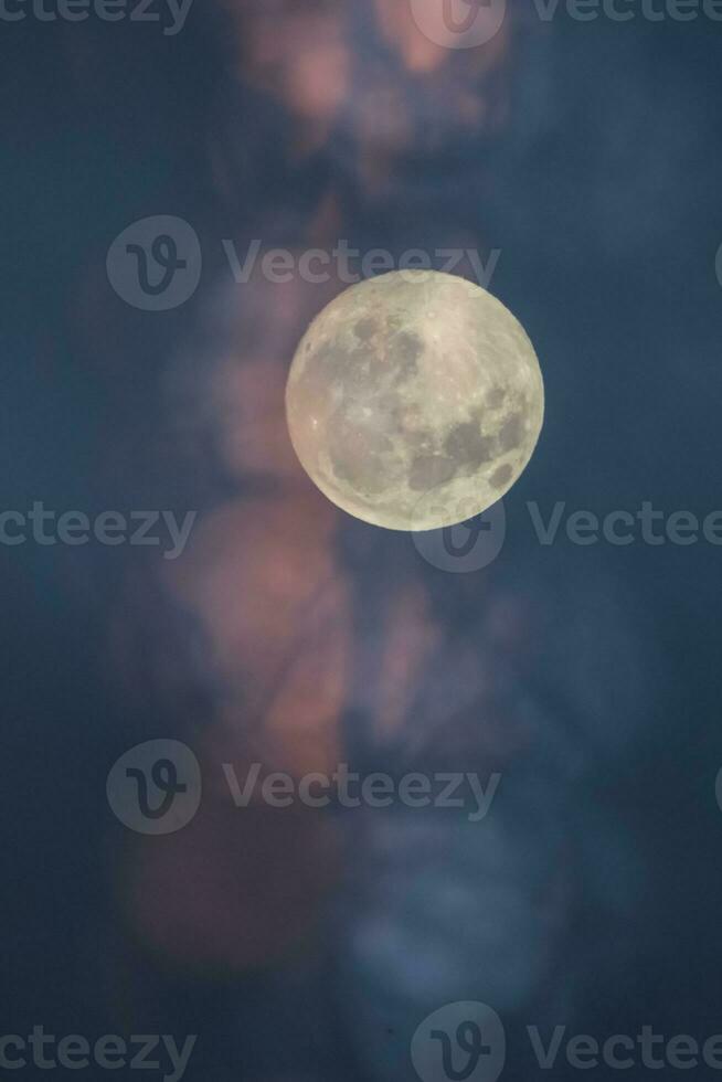 Luna nel il notte cielo , sfondo foto