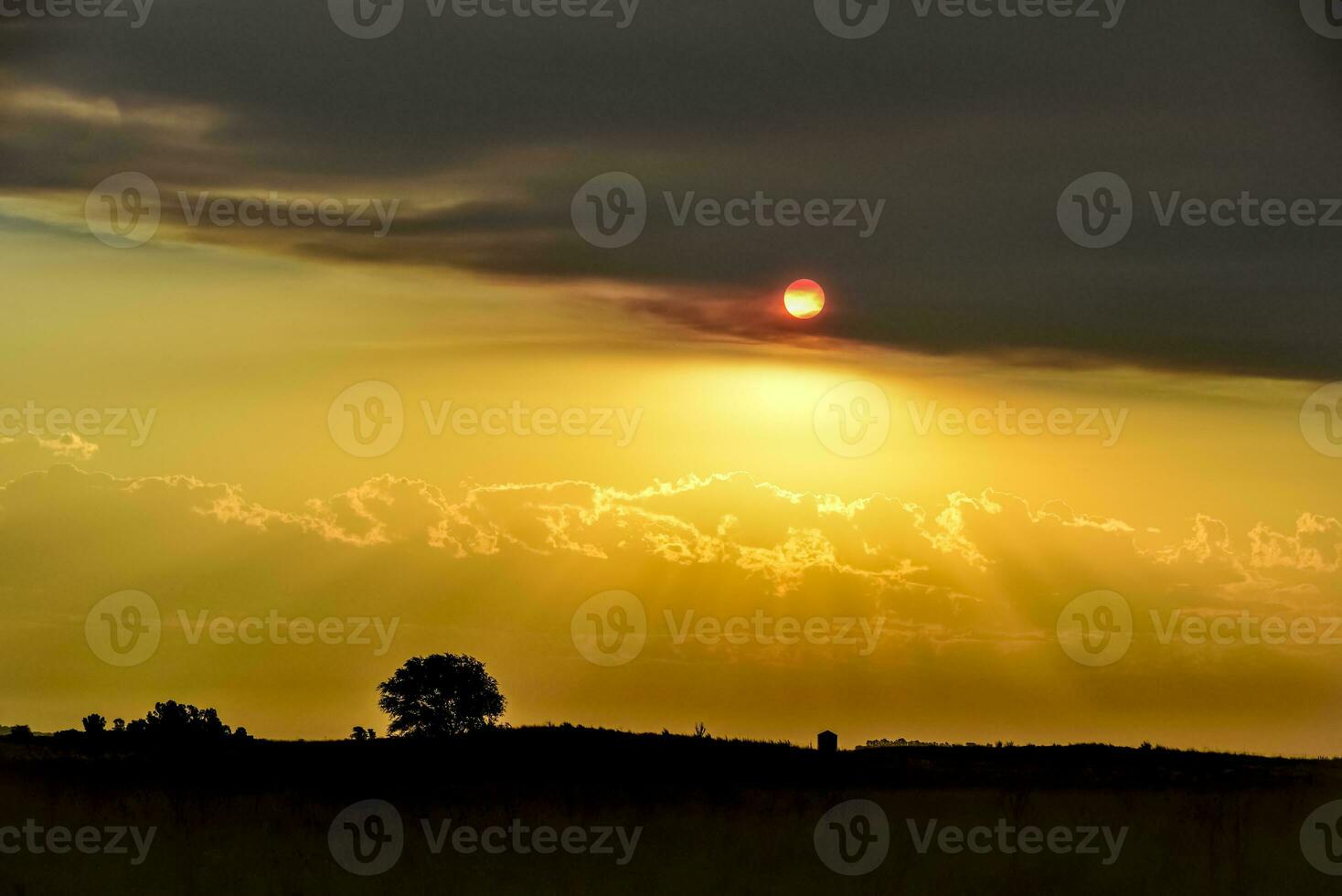 pampa tramonto paesaggio, la pampa, argentina foto