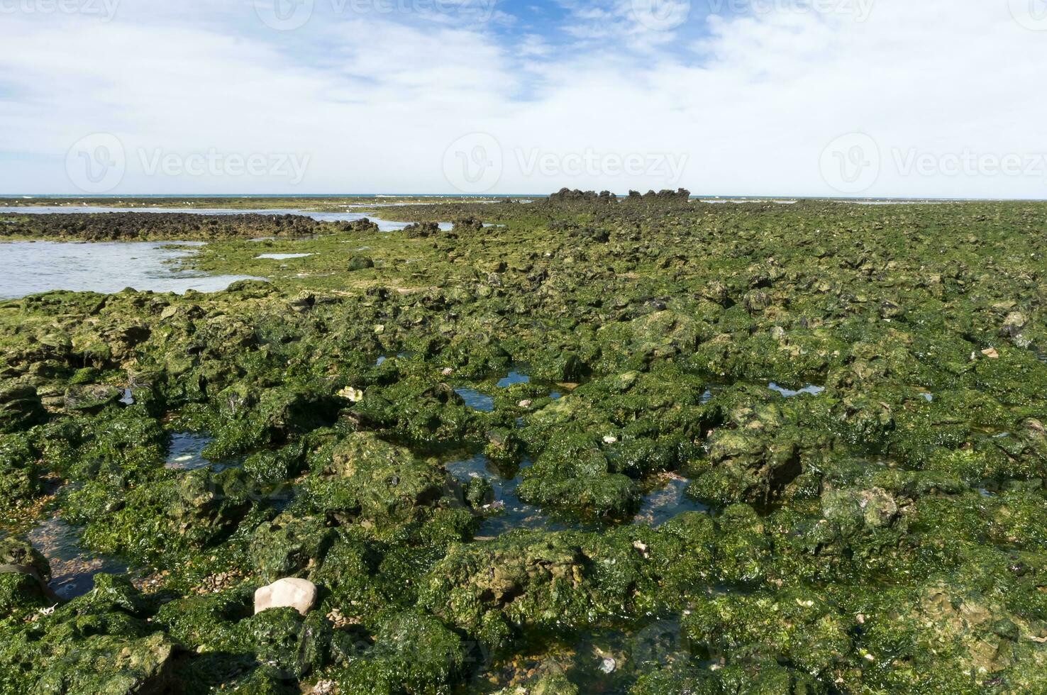 pietra bassofondo a Basso marea, penisola Valdes, patagonia, argentina foto