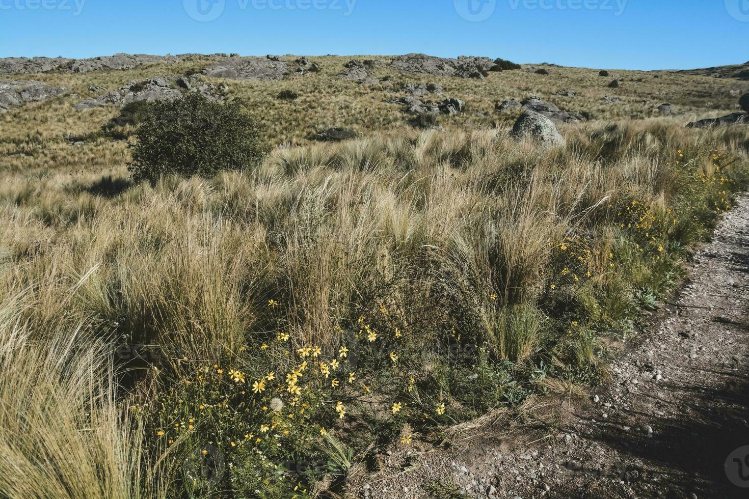quebrada del condorito nazionale parco paesaggio, cordova Provincia, argentina foto