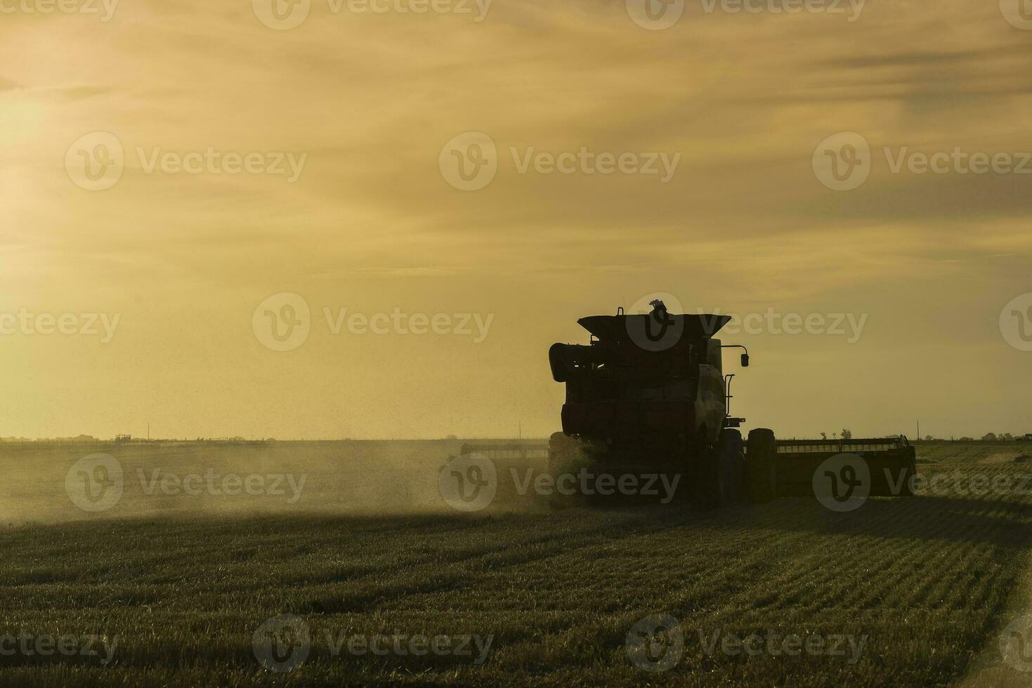 mietitore macchina, raccolta nel il argentino campagna, buenos arie Provincia, argentina. foto