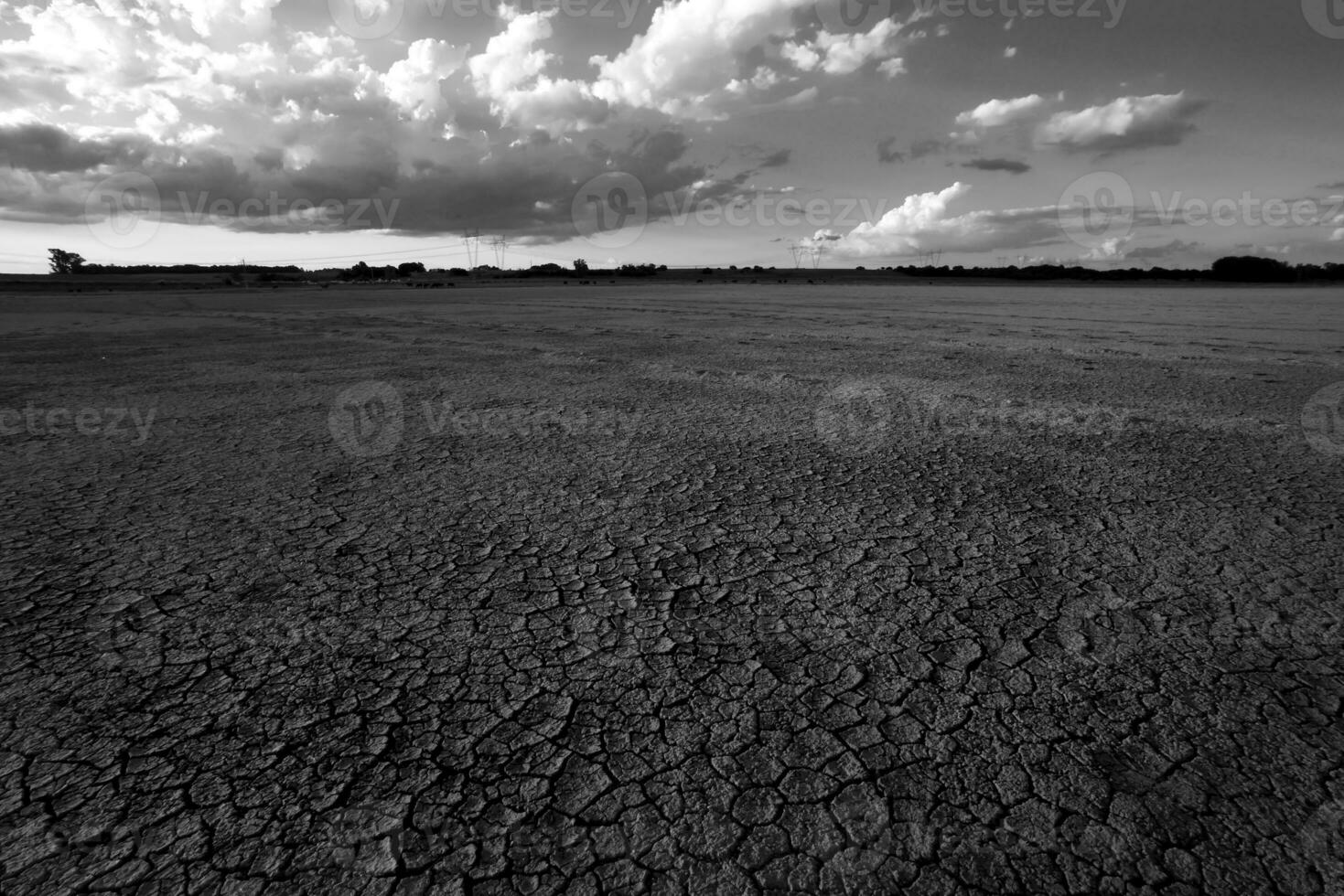 rotto asciutto suolo nel un' pampa laguna, la pampa Provincia, patagonia, argentina. foto