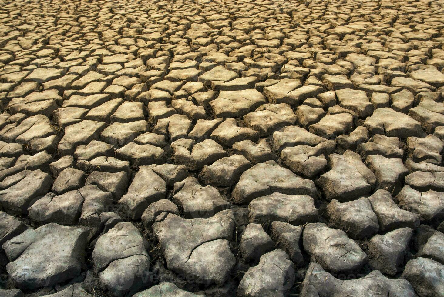 rotto suolo nel pampa ambiente , patagonia, argentina. foto