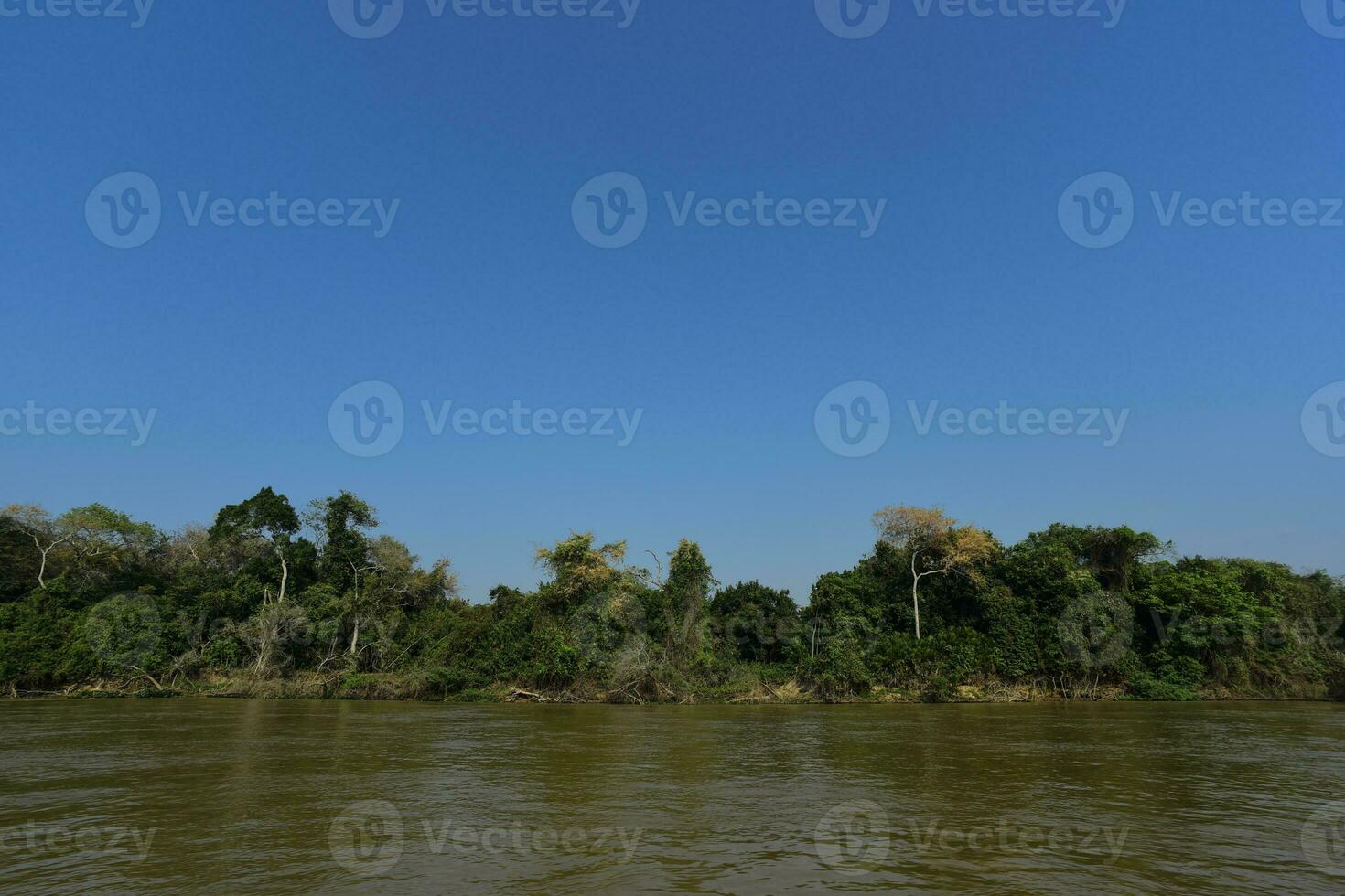 fiume paesaggio e giungla, pantanal, brasile foto