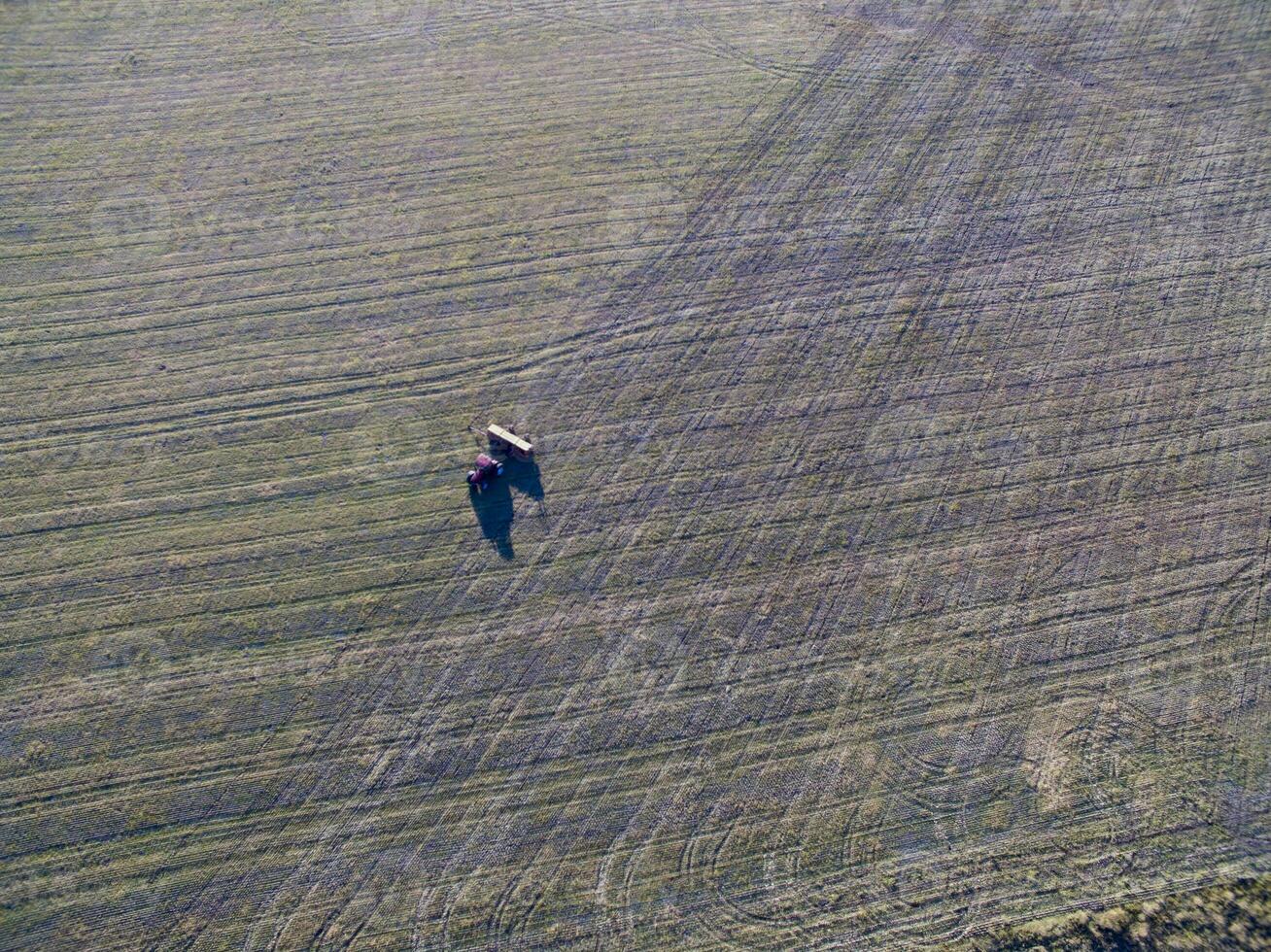 trattore e seminatrice, diretto semina nel il pampa, argentina foto
