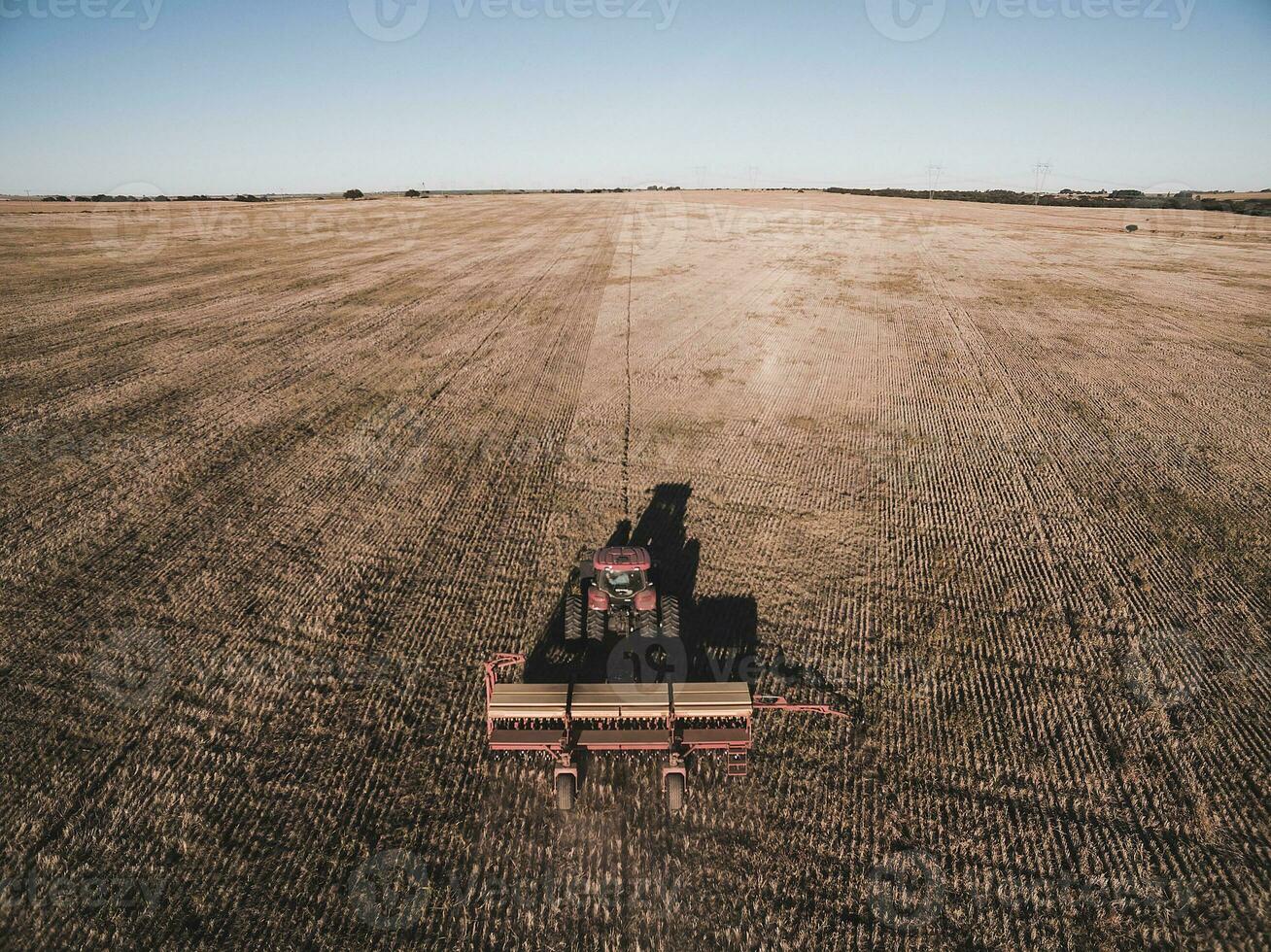 trattore e seminatrice, diretto semina nel il pampa, argentina foto