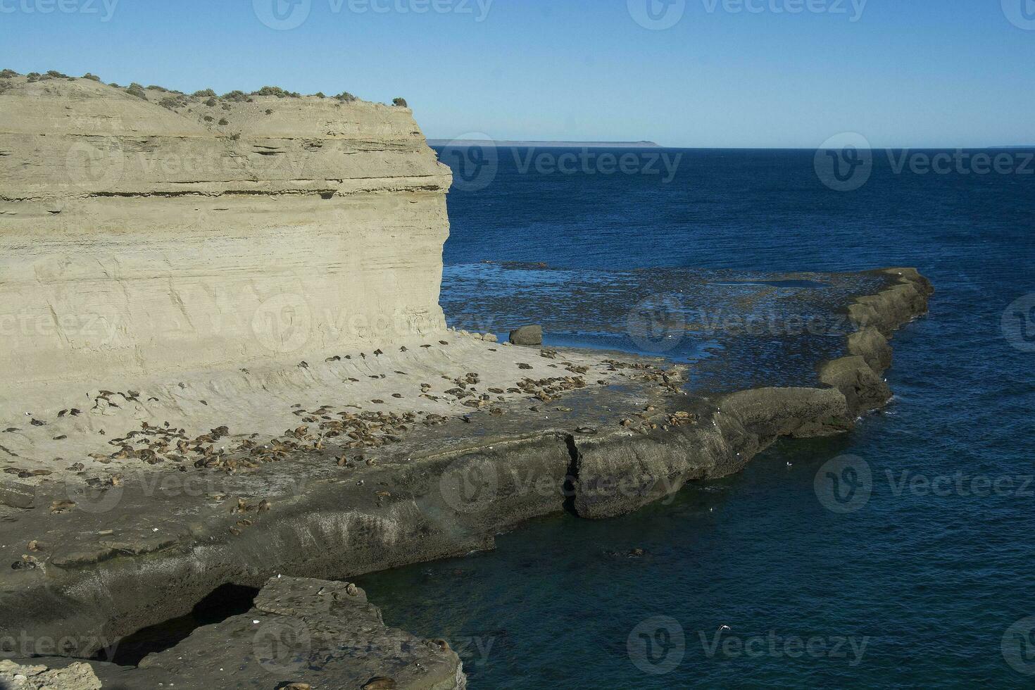 scogliere paesaggio nel penisola Valdes, unesco mondo eredità luogo, chubut Provincia, patagonia, argentina. foto