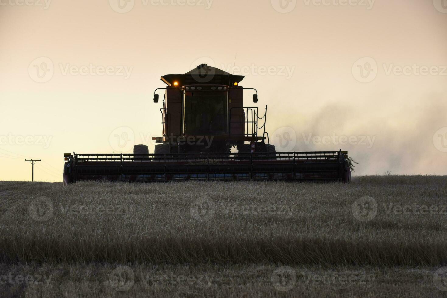 mietitore macchina, raccolta nel il argentino campagna, buenos arie Provincia, argentina. foto