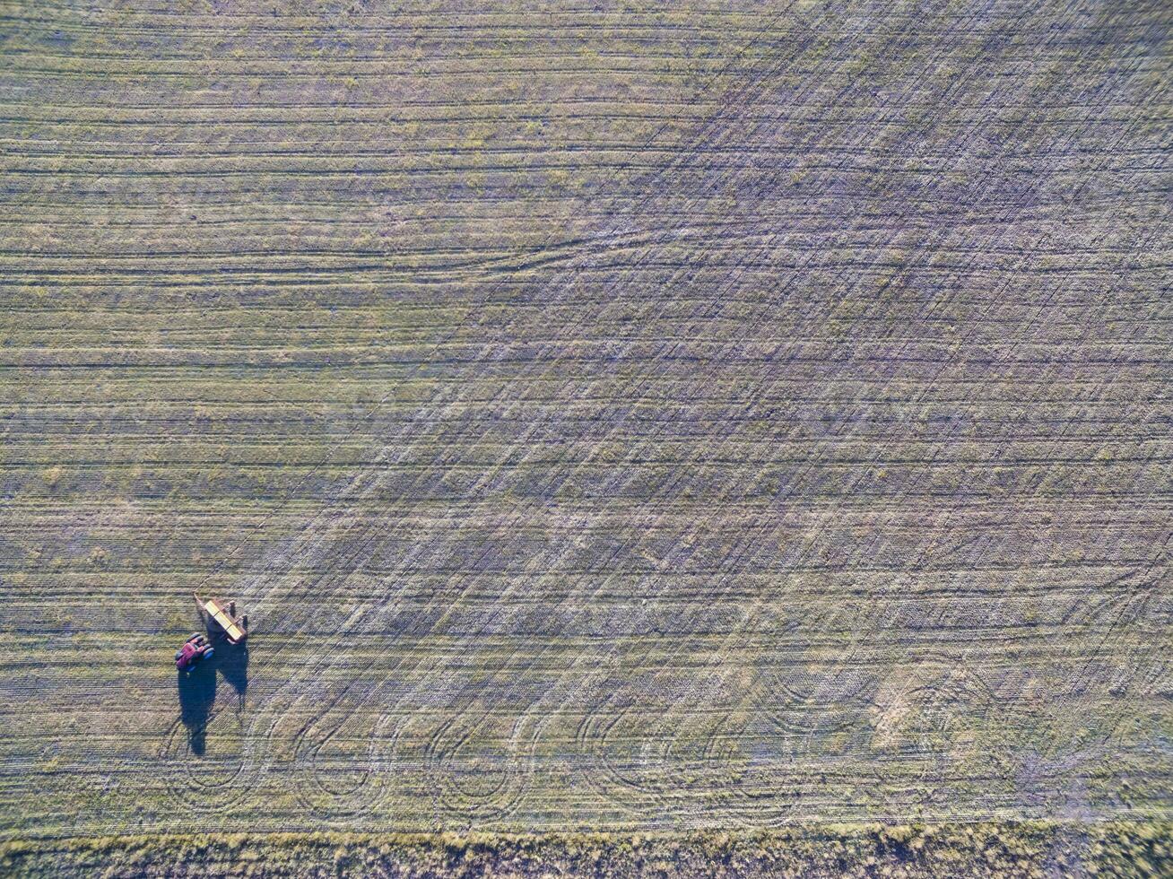 trattore e seminatrice, diretto semina nel il pampa, argentina foto