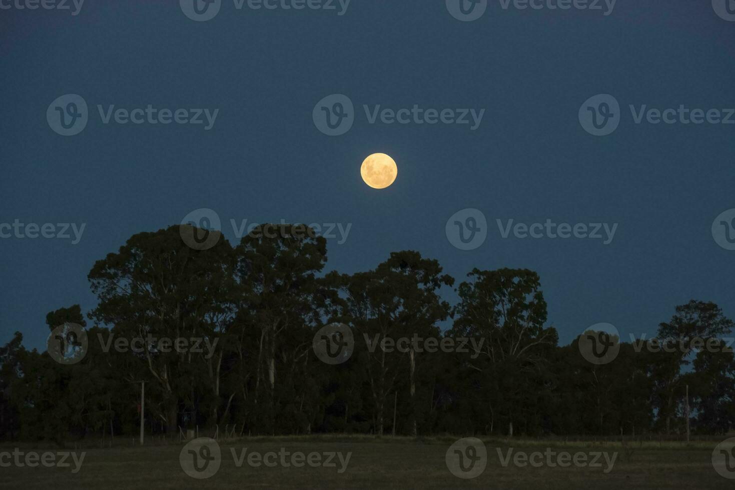 sangue Luna, eclisse visto da, la pampa, gennaio 21, 2019 argentina foto