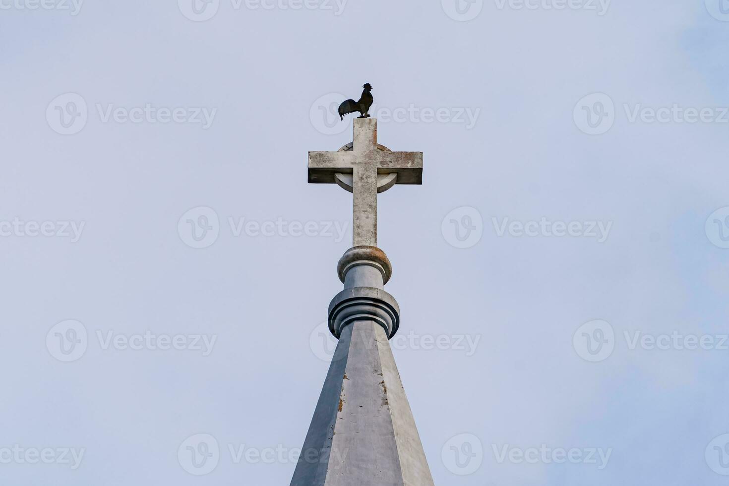 Cattedrale pollo. Questo è un' famoso antico architettura nel da lat città, Vietnam. foto