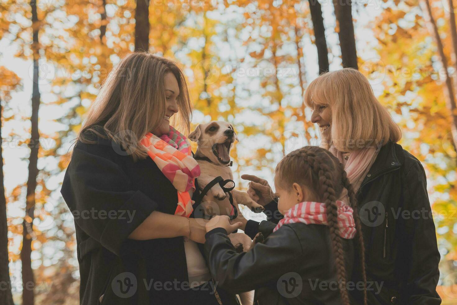 nonna e madre con nipotina avendo divertimento con cane nel autunno stagione. generazione, tempo libero e famiglia concetto foto