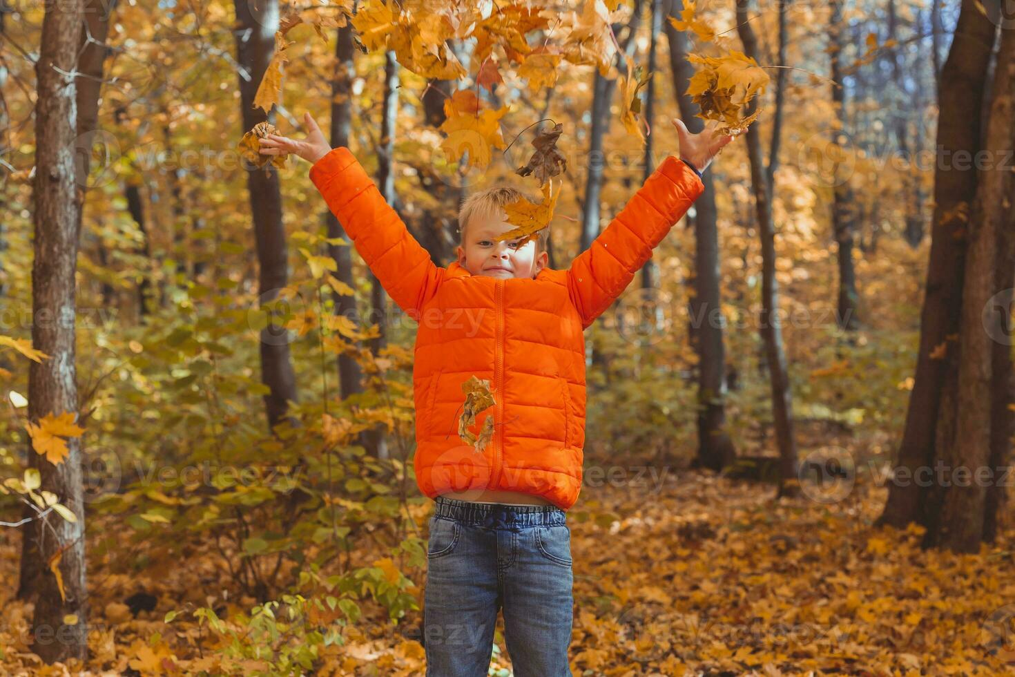 ragazzo lanci su caduto le foglie su un' sfondo di autunno paesaggio. infanzia, autunno e natura concetto. foto