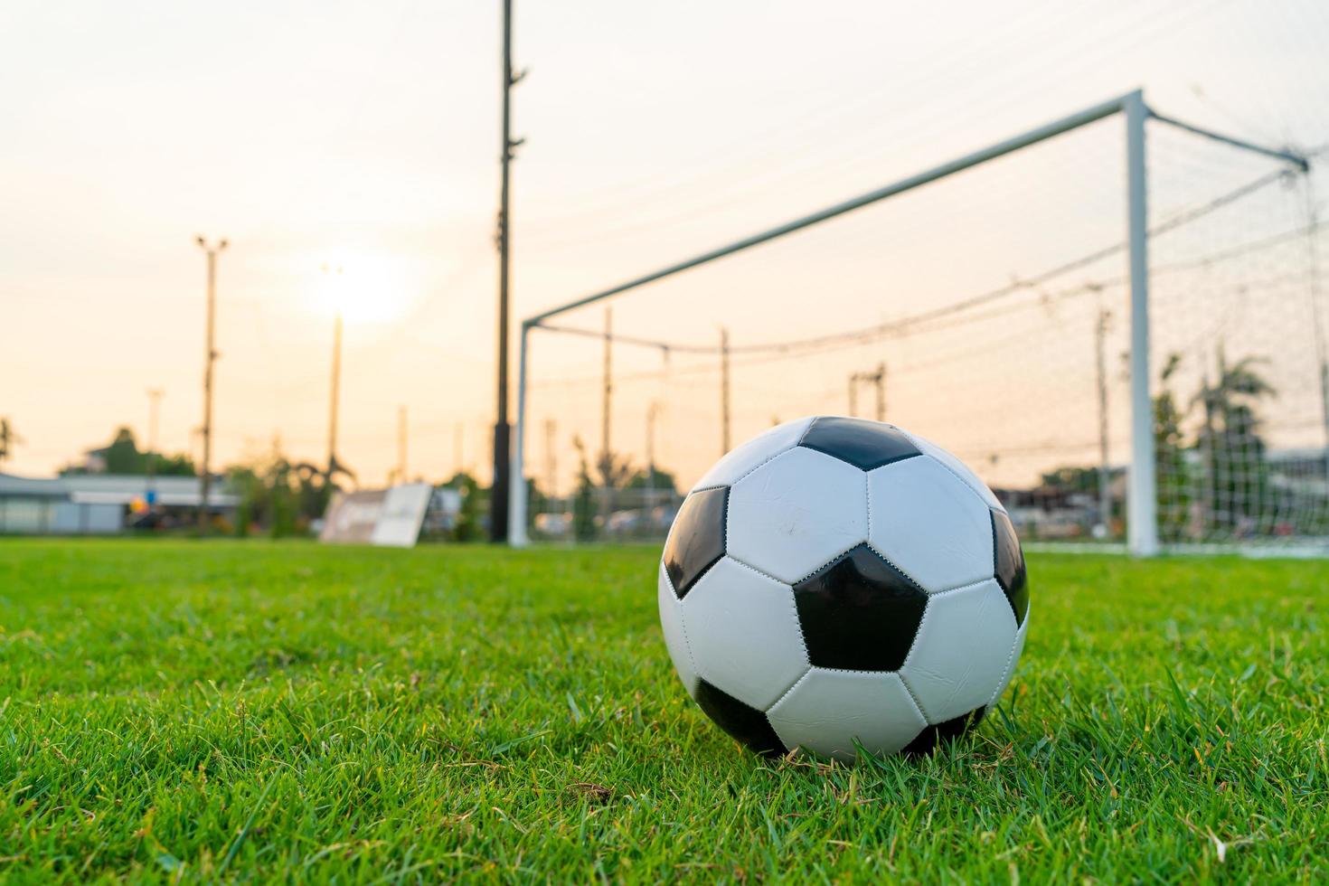 pallone da calcio sul campo da calcio foto