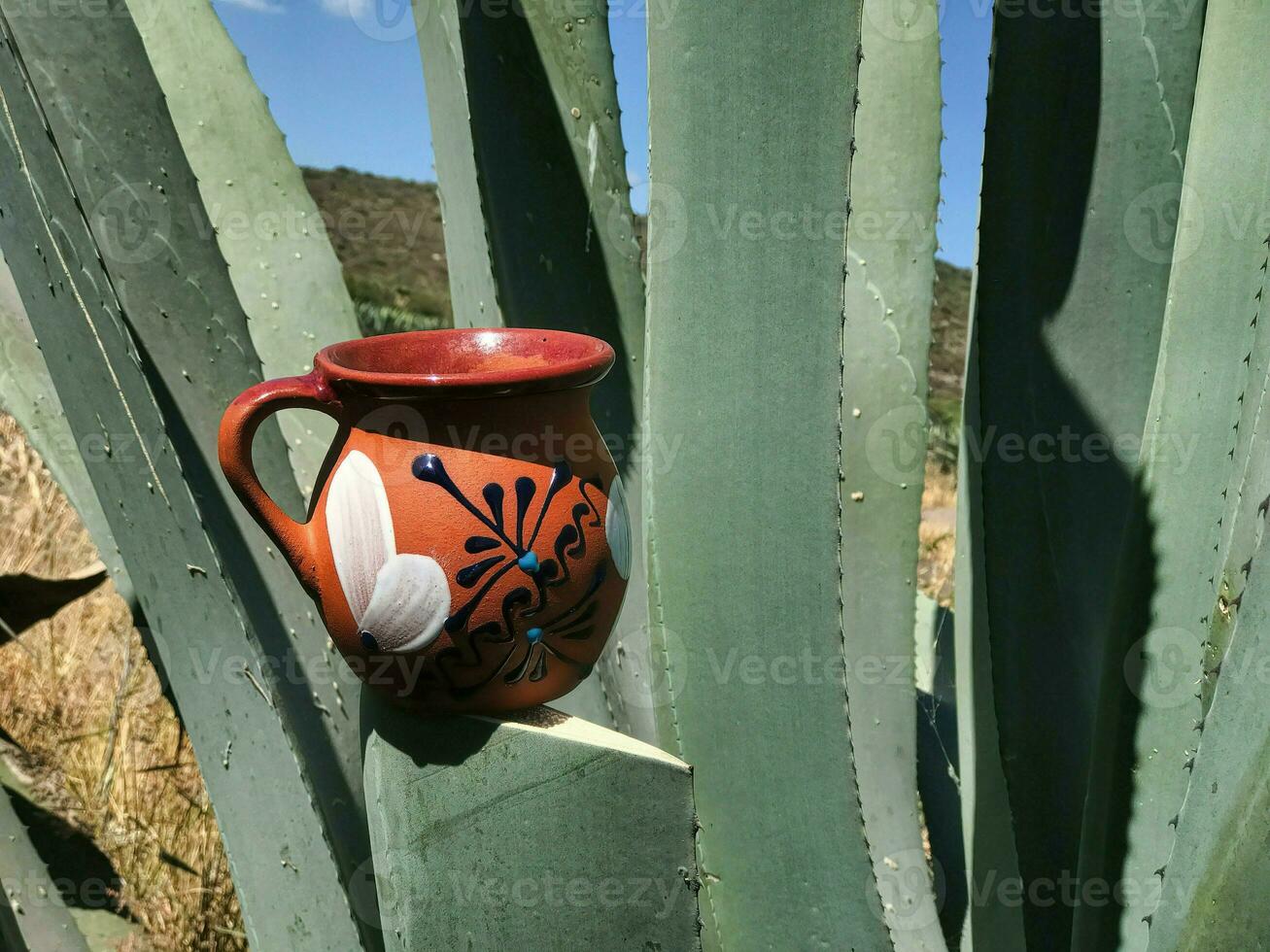 pulque e maguey il essenza di Messico ricco culturale eredità foto