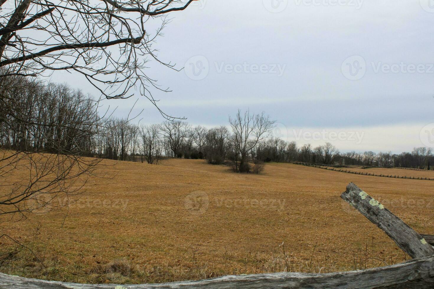 storico arpisti traghetto wv foto