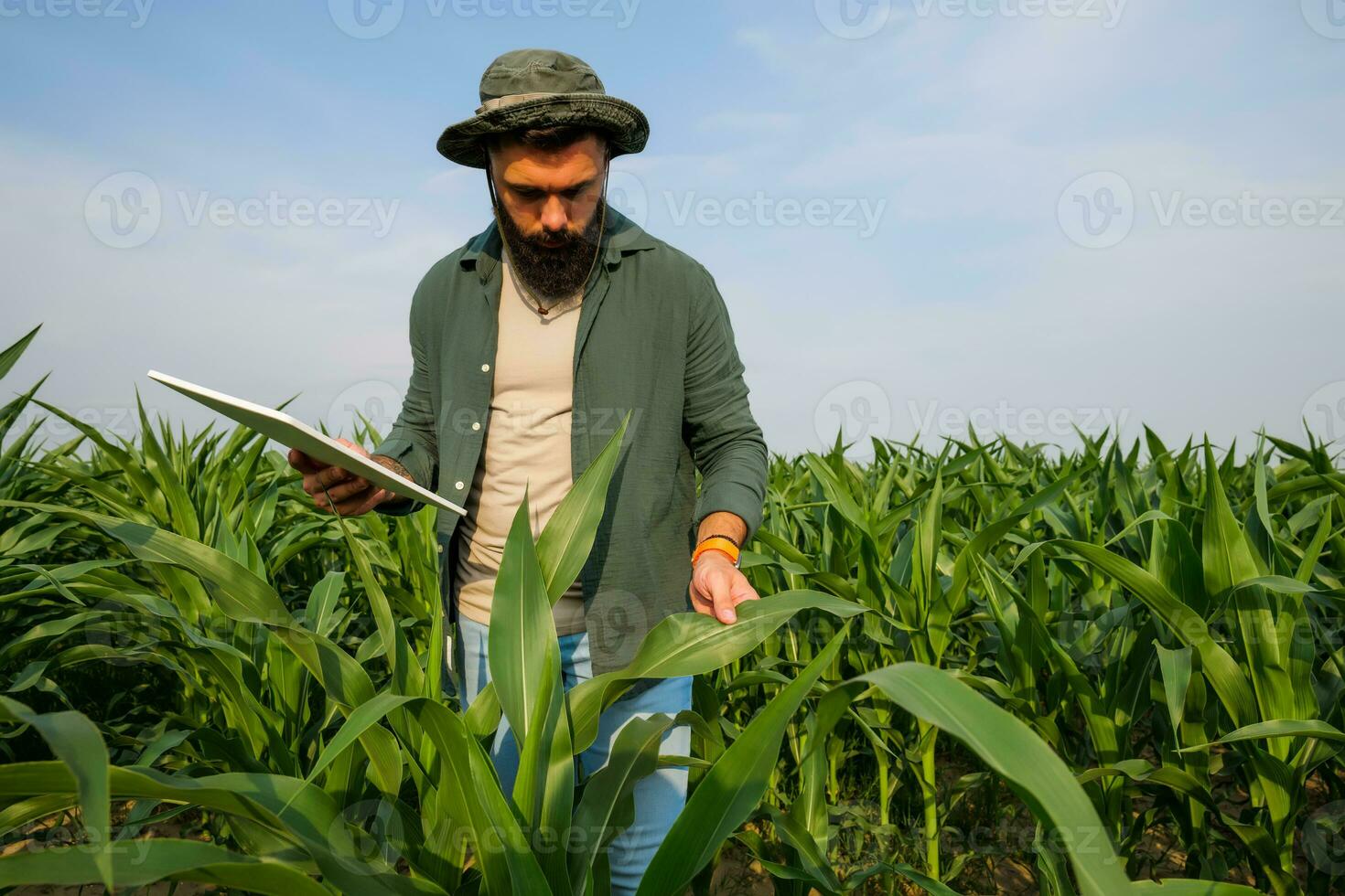 ritratto di contadino chi è coltivando Mais. lei è l'esame progresso di impianti. agricolo occupazione. foto
