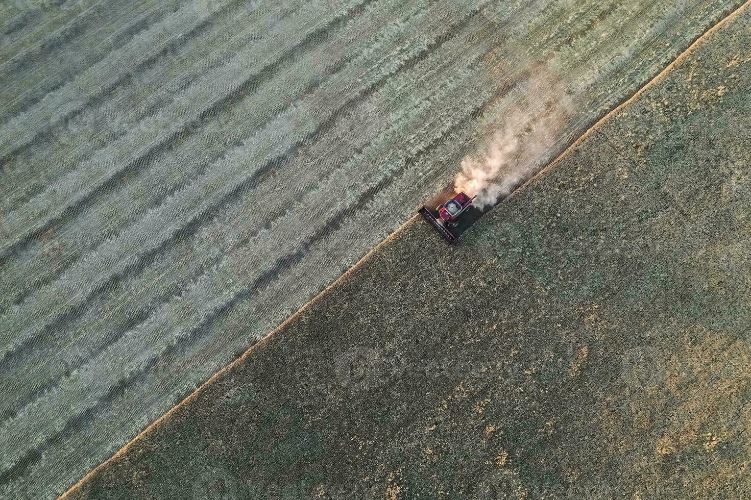 Grano raccogliere nel il argentino campagna, la pampa Provincia, patagonia, argentina. foto