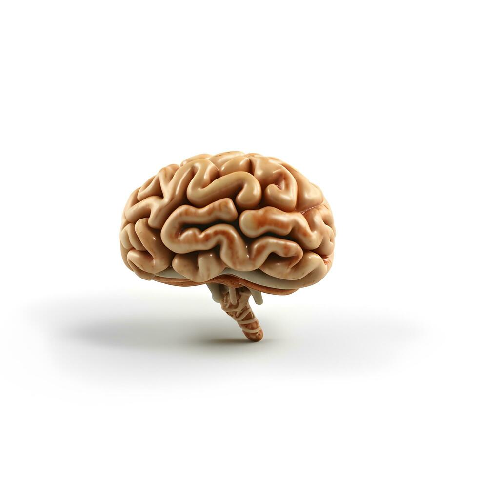 umano cervello su bianca sfondo. generativo ai foto
