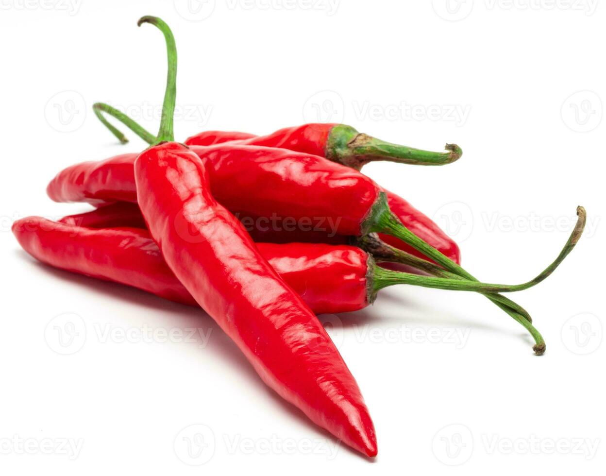 rosso chili Pepe isolato. realistico rosso chili Pepe su un' bianca sfondo. foto