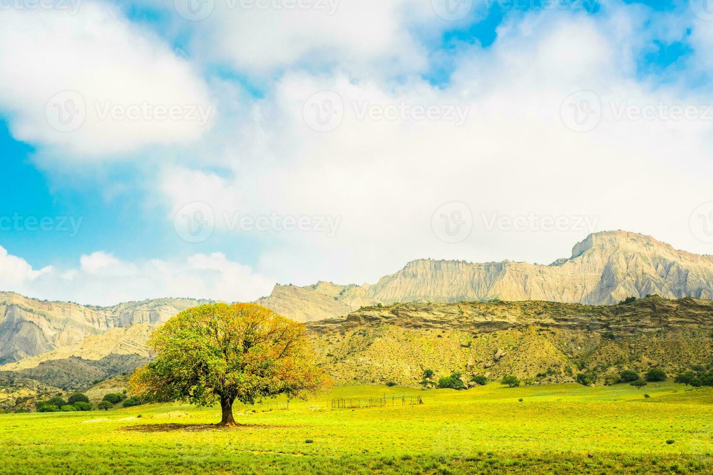 iconico albero nel autunno colori con sbalorditivo roccia formazioni nel sfondo.vashlovani nazionale parco foto