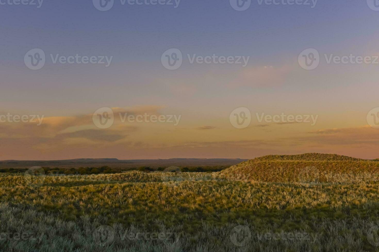 pampa erba paesaggio, la pampa Provincia, patagonia, argentina. foto