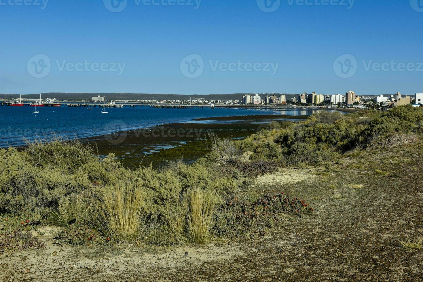 puerto madryn città, Ingresso portale per il penisola valdes naturale Riserva, mondo eredità luogo, patagonia, argentina. foto