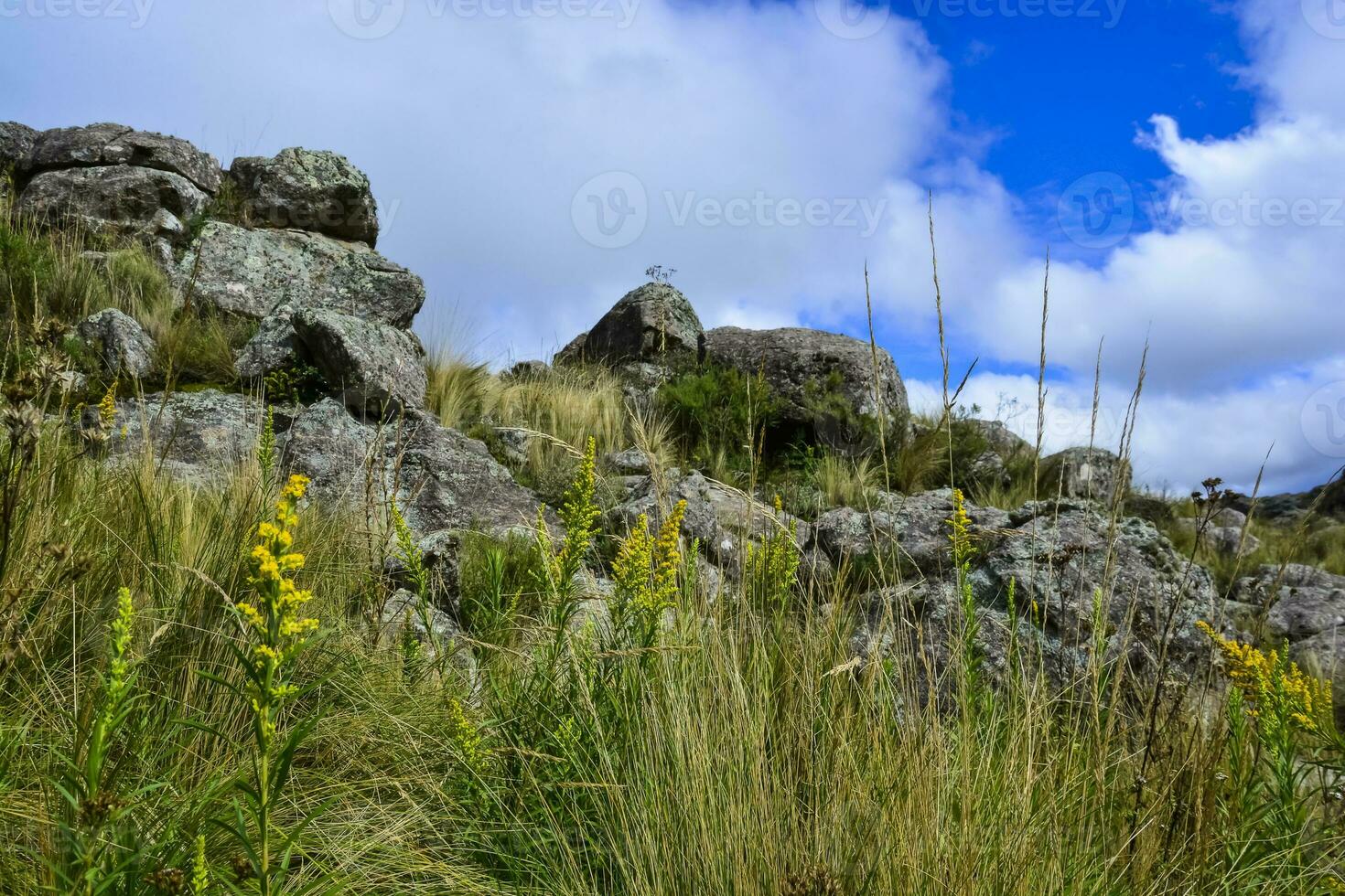 quebrada del condorito nazionale parco, cordova Provincia, argentina foto