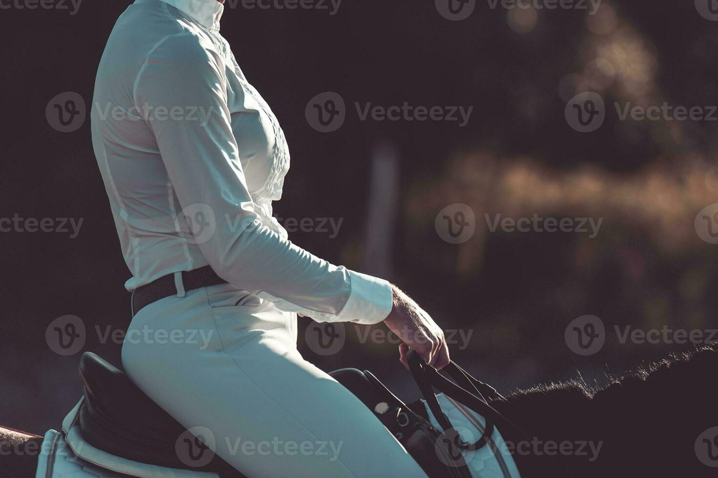 equestre donna ciclista su il cavallo Tenere redini a tramonto. equestre tema. foto