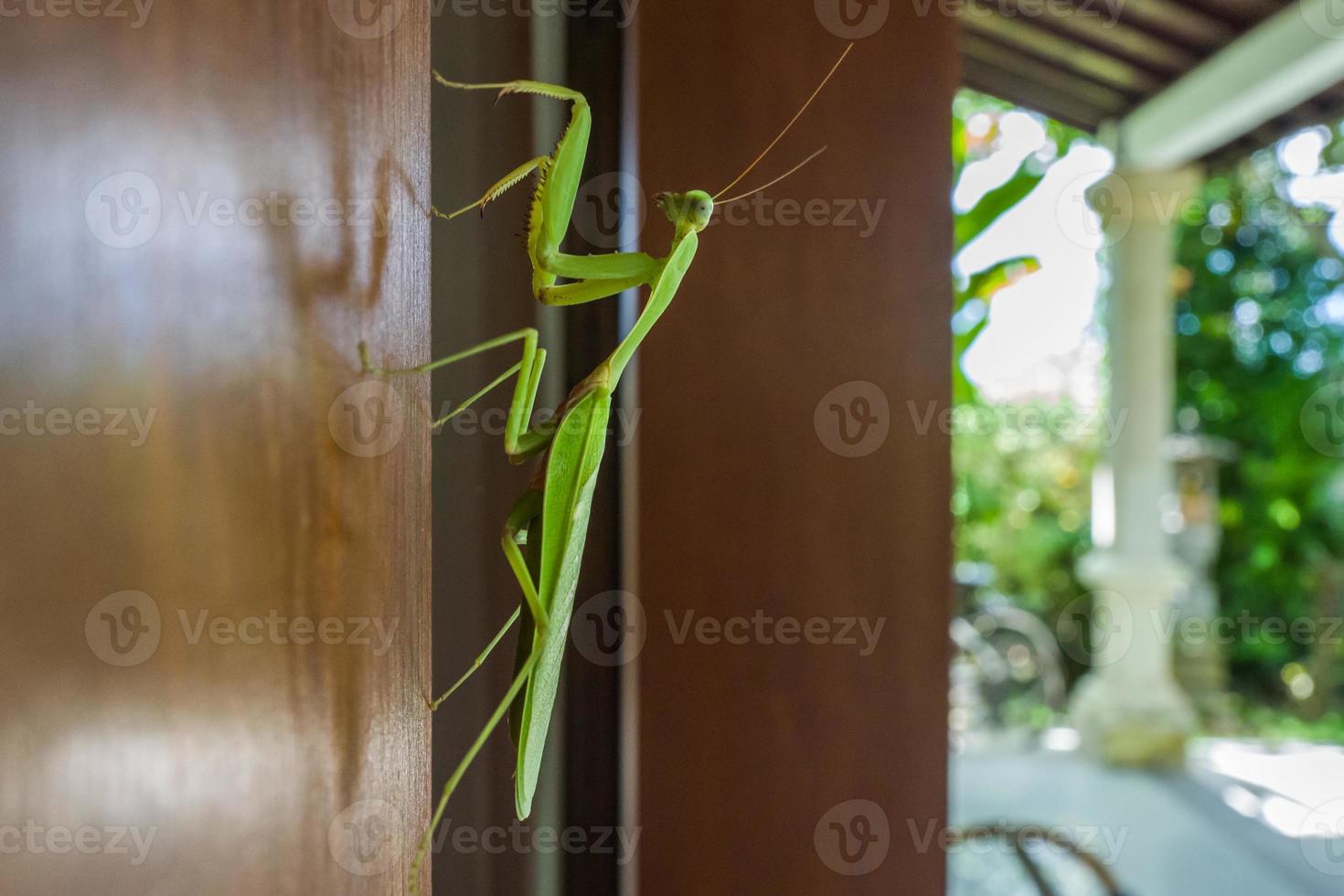 battente su una porta a bali foto