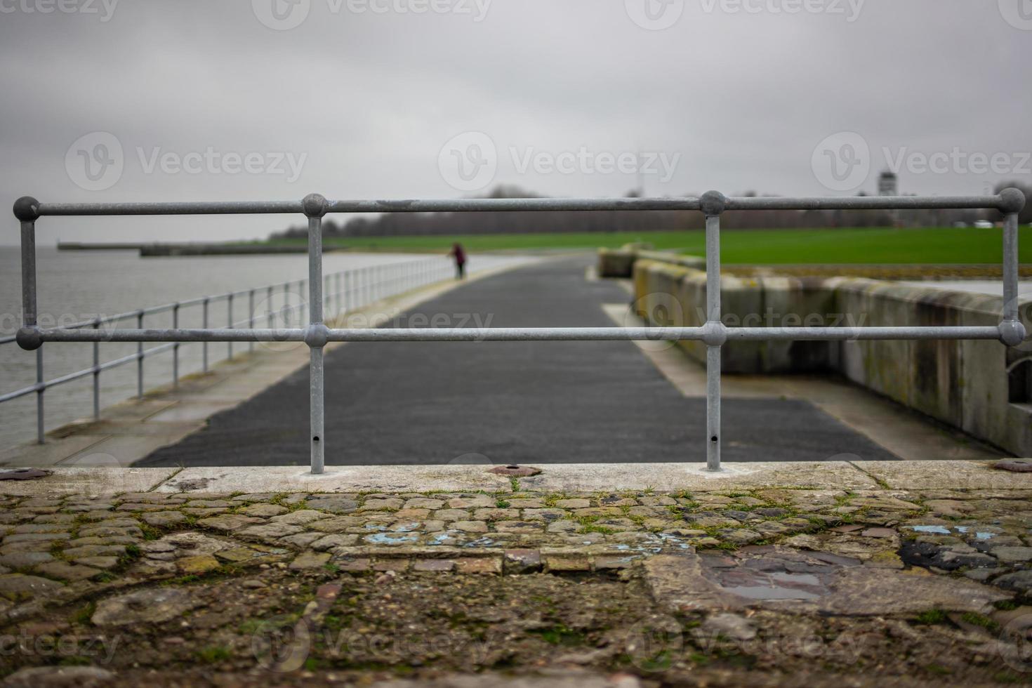 talpa nella zona della spiaggia sud di wilhelmshaven foto