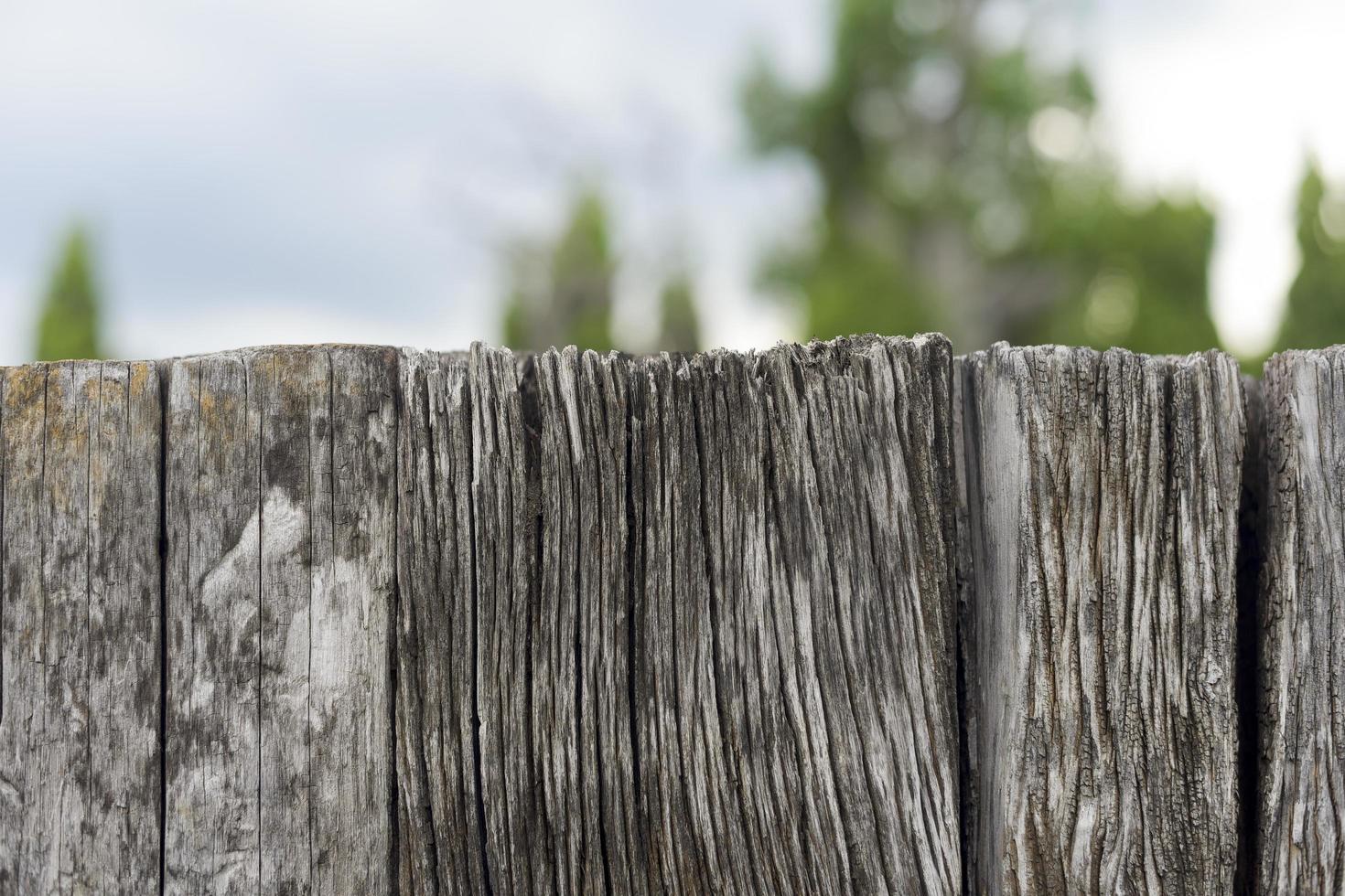 vecchio fondo di struttura di legno foto