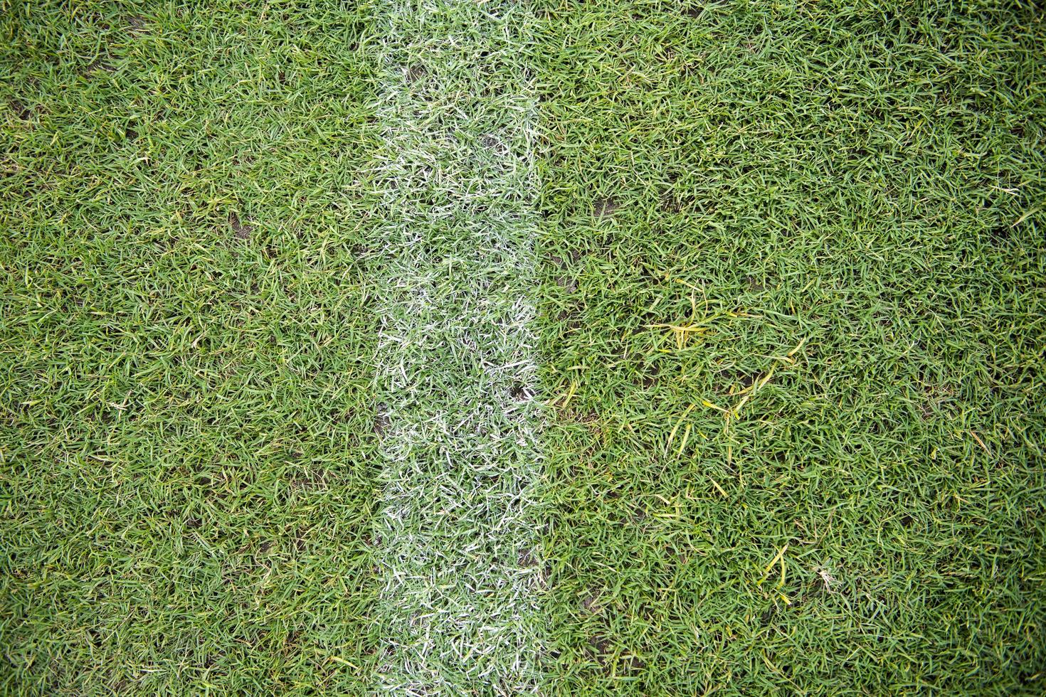 sfondo del campo di calcio foto