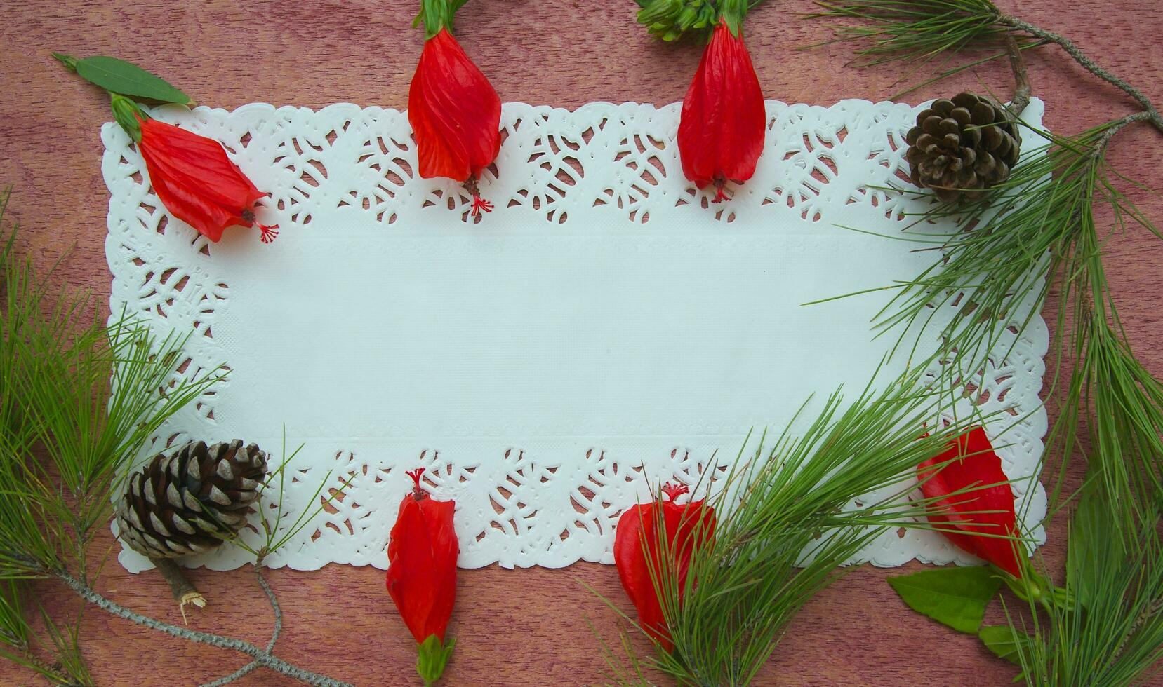 floristica composizione di ibisco fiori e pino albero ramoscelli - cartolina. foto