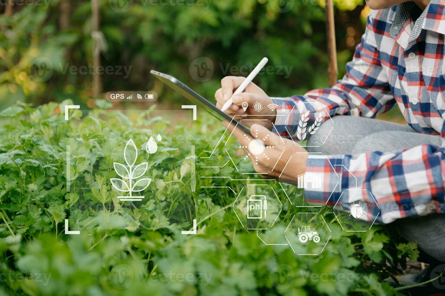donna mani giardinaggio lattuga nel azienda agricola con crescita processi e chimico formula su verde sfondo. con vr icona foto
