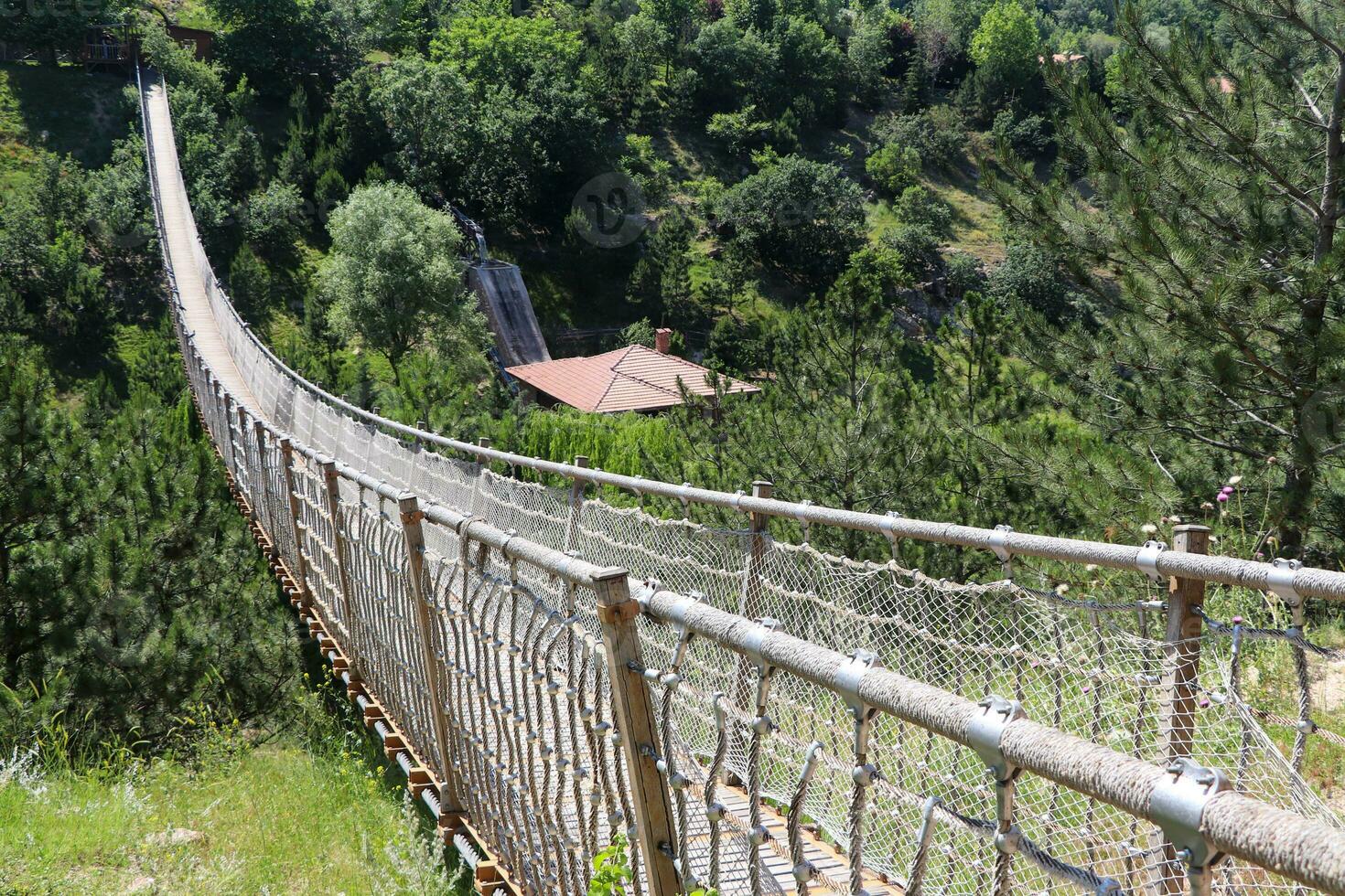 sospensione ponte su natura astratto sfondo su parkoutdoor foto