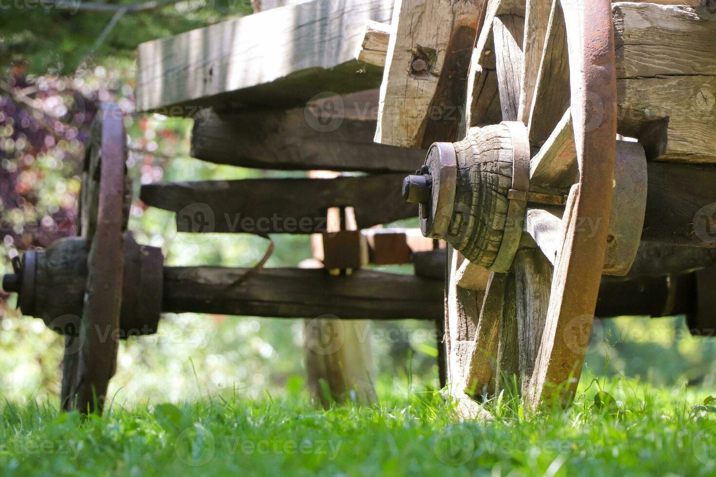 un vecchio di legno carrello con grande ruote nel il azienda agricola con foresta sfondo foto